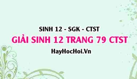 Giải Sinh 12 trang 79 Chân trời sáng tạo SGK